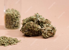 LS: IndivÃ­duo Ã© detido com porÃ§Ã£o de maconha no bairro SÃ£o Francisco