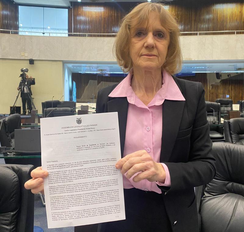 LS: Deputada Luciana protocola pedido para construÃ§Ã£o da Casa da Mulher Brasileira no municÃ­pio