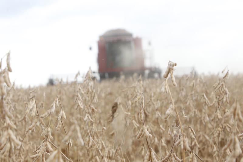 Conselho MonetÃ¡rio Nacional autoriza produtores a renegociar dÃ­vidas do crÃ©dito rural