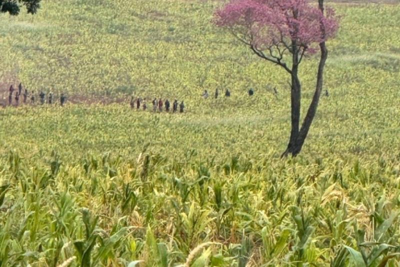 Grupo invade fazenda em Terra Roxa no PR