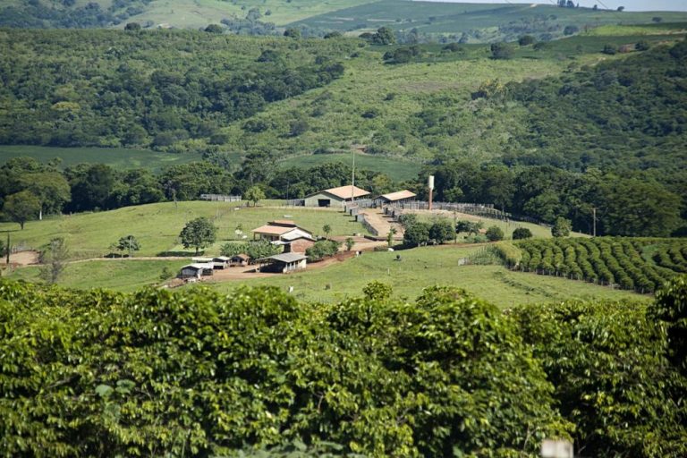 Prazo de entrega do ITR 2024 termina 30 de setembro