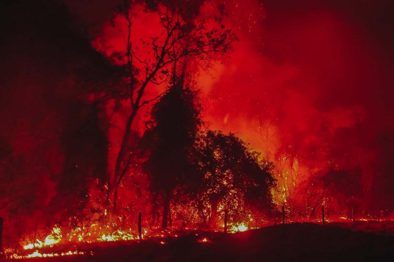 Corpo de Bombeiros do ParanÃ¡ jÃ¡ atendeu mais de 9,3 mil incÃªndios florestais em 2024