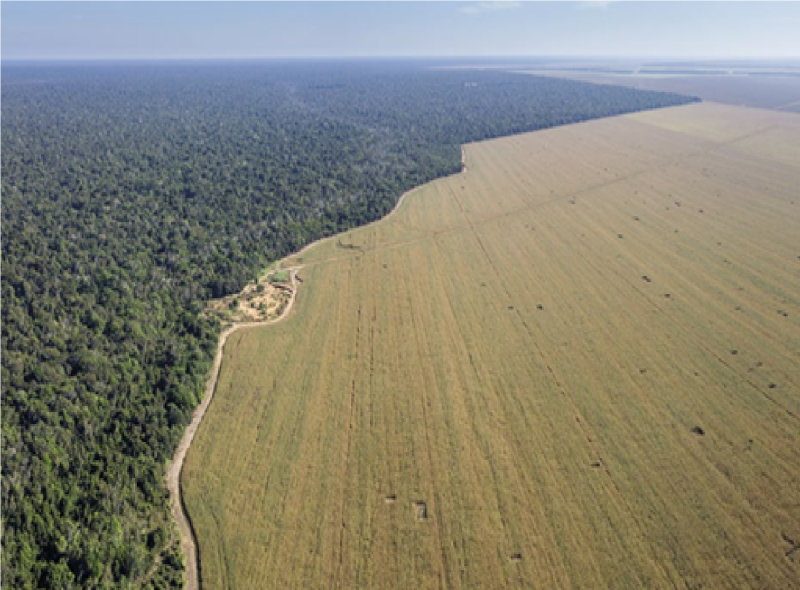 Sindicato Rural de Laranjeiras do Sul promove palestra sobre RatificaÃ§Ã£o de Ãreas de Fronteira
