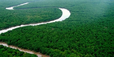 Produtores rurais da AmazÃ´nia lanÃ§am movimento contra narrativas ambientalistas e polÃ­ticas governamentais, exigindo diÃ¡logo e participaÃ§Ã£o na COP30
