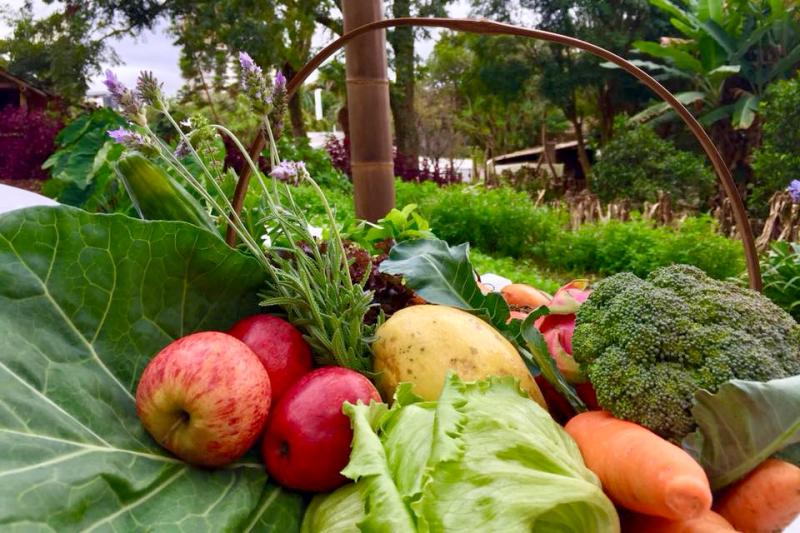 ParanÃ¡ chega a 319 municÃ­pios integrados ao sistema nacional de seguranÃ§a alimentar
