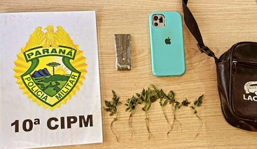 Cantagalo: PM apreende drogas e 7 pÃ©s de maconha no centro