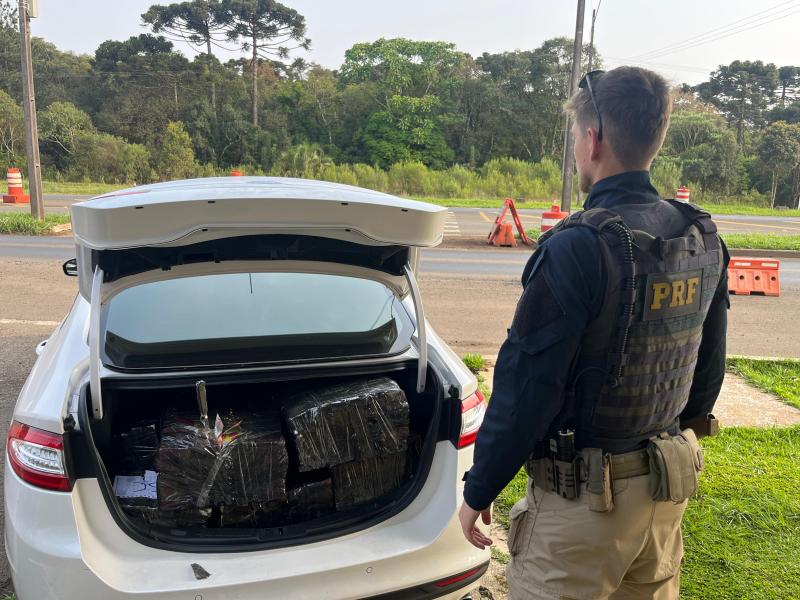 Guarapuava: PolÃ­cia RodoviÃ¡ria Federal apreende mais de 230Kg de maconha 
