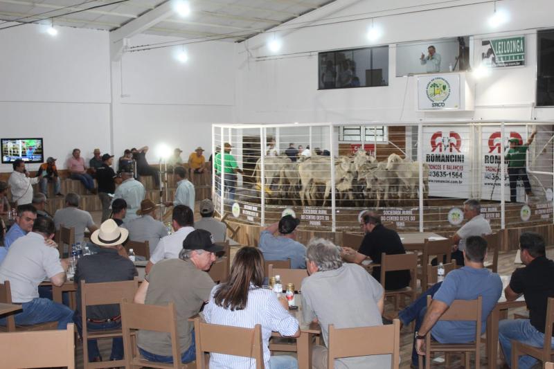 LeilÃ£o de Gado em Laranjeiras do Sul Reflete Qualidade e ConfianÃ§a na PecuÃ¡ria