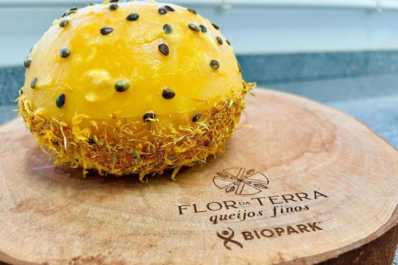 Queijo paranaense produzido na regiÃ£o Oeste estÃ¡ entre os nove melhores do mundo