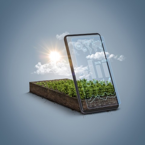 Dias de Campo e Show TecnolÃ³gicos sÃ£o vitrines de tecnologia e inovaÃ§Ã£o