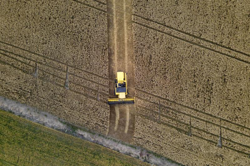 ParanÃ¡ terÃ¡ maior crescimento da produÃ§Ã£o agrÃ­cola entre estados do Sul e Sudeste em 2025