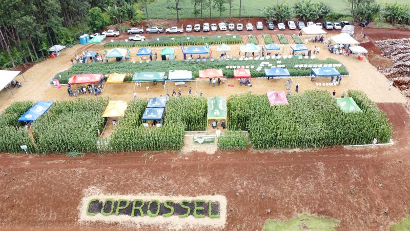 Dia de Campo Coprossel â€“ Novidades tecnolÃ³gicas, de sementes e insumos, troca de informaÃ§Ãµes e oportunidades do agro 