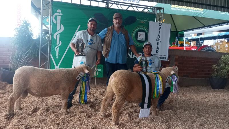 Show Rural Coopavel: Cabanha Paz Rabel conquista grande prêmio - Destaque com a Raça Île de France