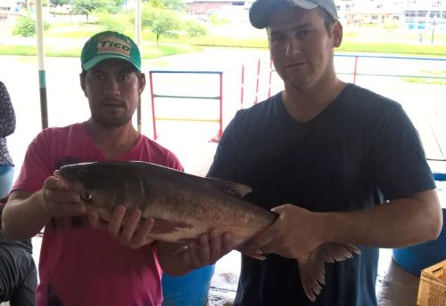 Peixe Lar realiza mais uma ediÃ§Ã£o da Feira do Peixe Vivo em Laranjeiras do Sul