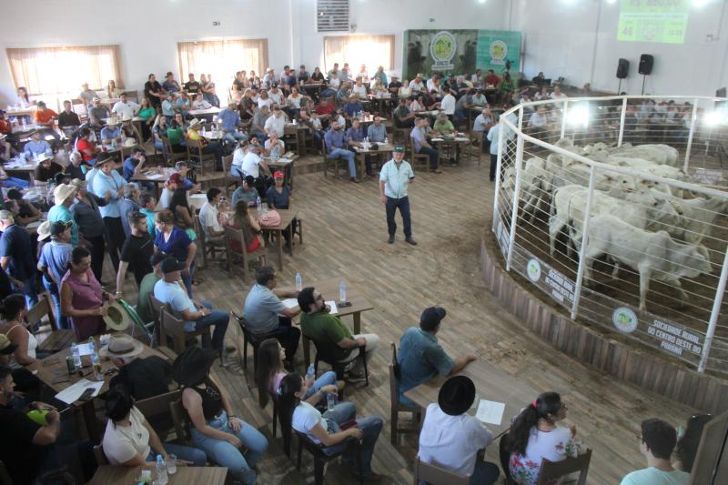 Expoagro 2025 - Feira de Bezerros e Bezerras da Sociedade Rural movimenta mais de 3 milhÃµes em negÃ³cios