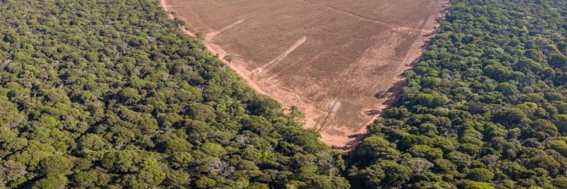 Com atuação do Sistema FAEP em Brasília, governo prorroga ratificação de imóveis em faixa de fronteira
