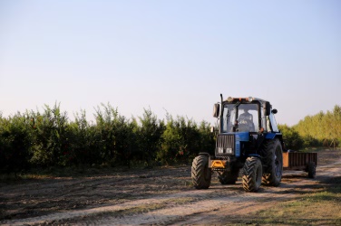 Marquinho: Homem compra trator por rede social e acaba caindo em golpe