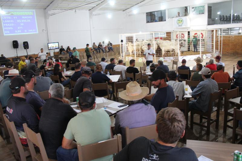 Feira de Bezerros e Bezerras da Sociedade Rural acontece dia 15 de março em durante a Expoagro