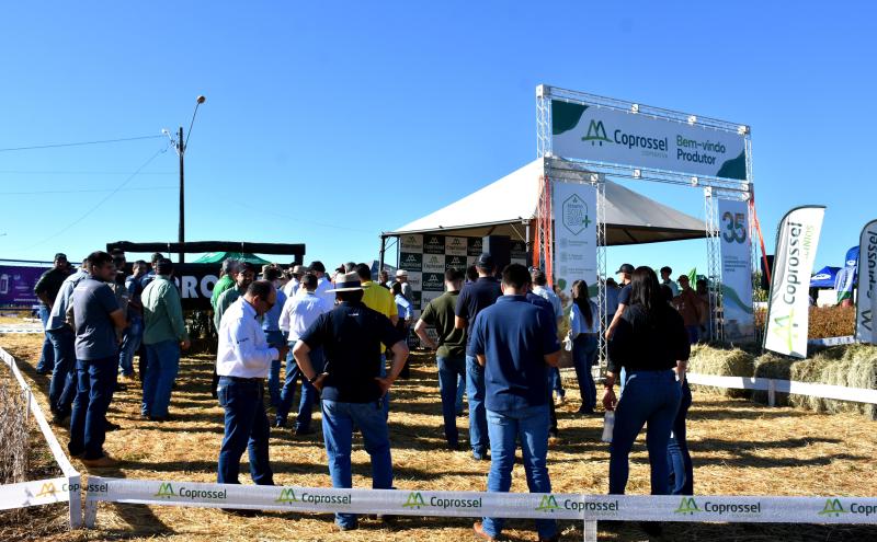 Dia de Campo Coprossel reúne centenas de produtores durante a Expoagro 2026