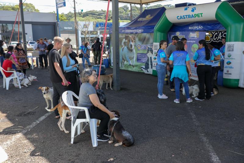 Laranjeiras do Sul - CastraPet Paraná atende mais de 300 animais em dois dias