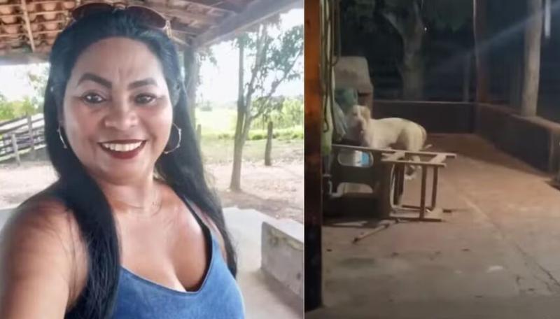 Mulher morre após ser ataca por cão pitbull da família