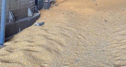 Pitanga: Trabalhador morre soterrado em silo de grãos