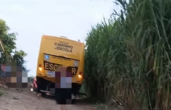 Palmital: Avó e neta de 3 anos morrem após serem atropeladas por ônibus escolar