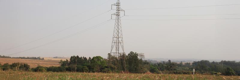 CCJ aprova PL que obriga concessionária a podar vegetação em áreas rurais