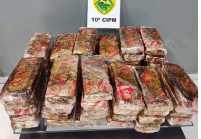 LS: Dois indivíduos foram presos com mais de 40kg de maconha na rodoviária municipal 