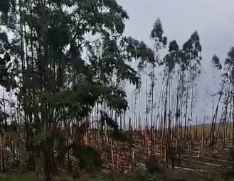 Chuvas e ventos fortes já causam estragos na região da Cantu