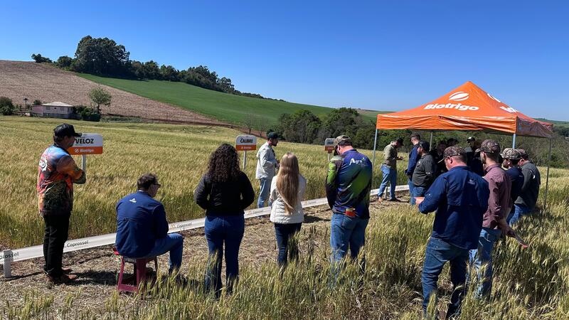 Dia de Campo Coprossel reúne produtores e técnicos em Rio Bonito do Iguaçu